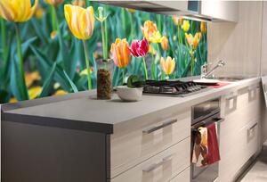 DIMEX | Fototapeta do kuchyně Tulipány KI-180-122 | 180 x 60 cm | zelená, červená, žlutá
