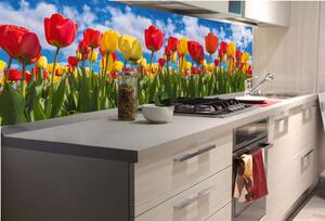 DIMEX | Fototapeta do kuchyně Pole tulipánů KI-180-131 | 180 x 60 cm | zelená, modrá, červená, žlutá