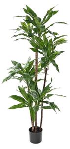 Umělá palma Dracena FRAGRANS deluxe, 150cm