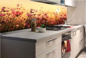 DIMEX | Fototapeta do kuchyně Květinové pole KI-180-130 | 180 x 60 cm | béžová, žlutá, růžová