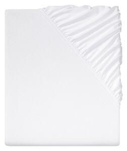 LIVARNO home Žerzejové napínací prostěradlo, 140-160 x 200 cm (bílá) (100360105001)