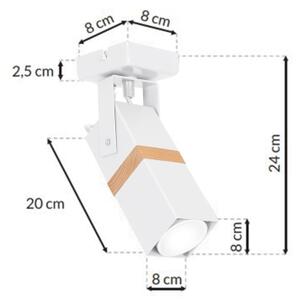Bodové svítidlo VIDAR 1xGU10/25W/230V bílá