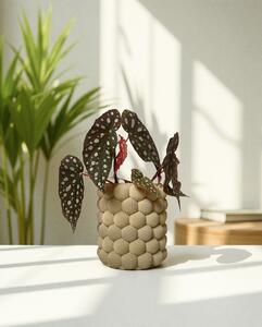 Plantbee Květináč Klaud 10cm písková