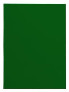 Koberec protiskluzový RUMBA 1967 zelený