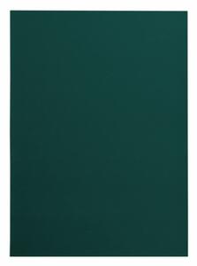 Koberec protiskluzový RUMBA 1970 lahvově zelený