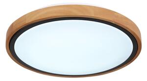 Globo 41764-12 - LED Stropní svítidlo BRUNO LED/12W/230V 307 mm 3000/4500/6000K