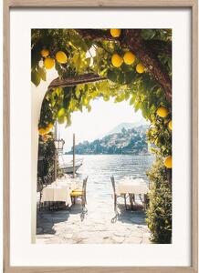 Tištěný obraz s rámem 50x70 cm Lemon View – Styler