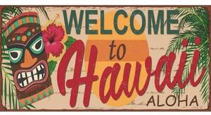 Ceduľa značka USA Hawaii 30,5cm x 15,5cm Plechová tabuľa