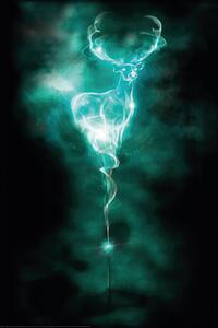 Plakát, Obraz - Harry Potter - Patronus Stag, 61 × 91.5 cm