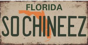 Ceduľa značka USA Florida 30,5cm x 15,5cm Plechová tabuľa