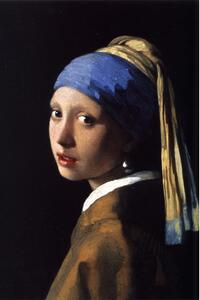 Reprodukce obrazu 50x70 cm Girl with a Pearl Earring - Fedkolor