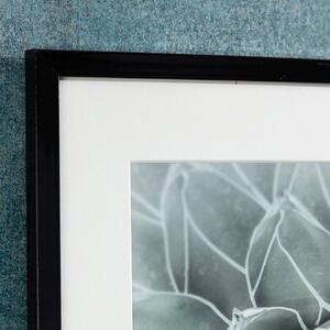 Obraz Succulents II 40x50xcm