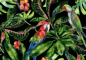 Obraz na płátně Tropical Birds