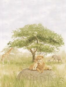 Vliesová obrazová tapeta na zeď, zvířata z Afriky, CW6114-2, Cute Walls, Decoprint