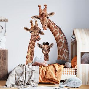 Dětská nálepka na zeď Giraffes - rodina žiráf Rozměry: XL