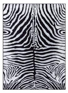 Kusový koberec Miro 51331.803 Zebra black / white-80x150