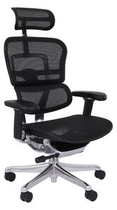 Kancelářská židle Ergohuman 2 Elite ST BS black