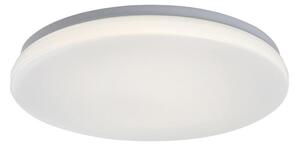 Rabalux 77140 - LED Koup. strop. svítidlo se senzorem LOWAR 24W/230V 4000K IP44
