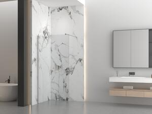 Erga Paris, sprchová zástěna Walk-In 50x200 cm, 8mm čiré sklo, broušená ocel, ERG-V02-PARIS-050x200-CL-BS