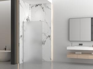 Erga Paris, sprchová zástěna Walk-In 50x200 cm, 8mm sklo námraza, broušená ocel, ERG-V02-PARIS-050x200-FR-BS