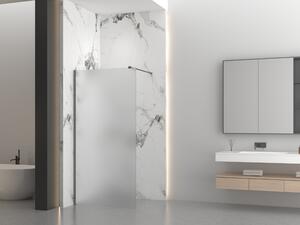 Erga Paris, sprchová zástěna Walk-In 50x200 cm, 8mm sklo námraza, grafitový profil, ERG-V02-PARIS-050x200-FR-GG