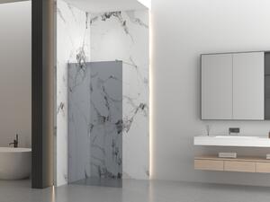 Erga Paris, sprchová zástěna Walk-In 30x200 cm, 8mm šedé sklo, broušená ocel, ERG-V02-PARIS-030x200-GR-BS