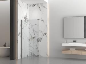 Erga Paris, sprchová zástěna Walk-In 50x200 cm, 8mm čiré sklo, grafitový profil, ERG-V02-PARIS-050x200-CL-GG
