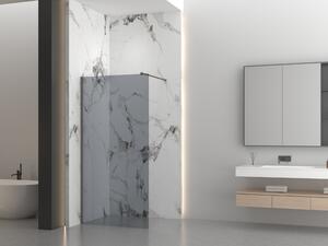 Erga Paris, sprchová zástěna Walk-In 30x200 cm, 8mm šedé sklo, grafitový profil, ERG-V02-PARIS-030x200-GR-GG