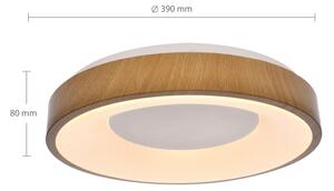 Brilagi - LED Stmívatelné stropní svítidlo DORIA LED/48W/230V 3000-6500K + DO