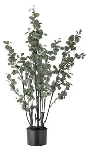 Umělý eukalyptus (výška 117 cm) – Bloomingville