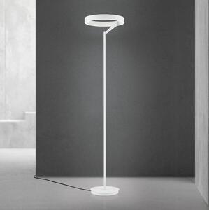 Orion - LED Stmívatelná stojací lampa KOLK LED/40W/230V 2700/4000K bílá