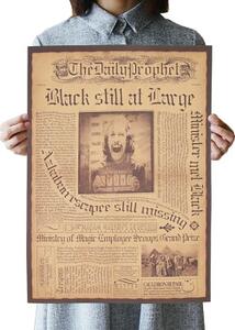 Plakát Harry Potter, Sirius Black č.370, 42 x 30cm