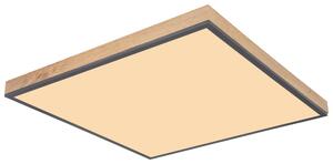 LED PANEL, 59/59/6.5 cm Globo - Online Only svítidla, Online Only