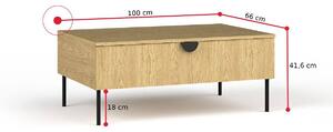 Konferenční stolek MOND, 100x41,6x66, dub baltic