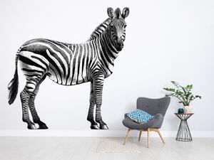 Zebra arch 119 x 120 cm