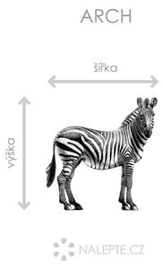 Zebra arch 44 x 45 cm