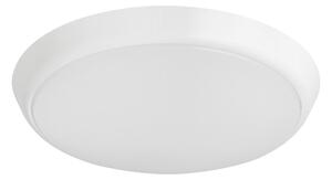 STROPNÍ LED SVÍTIDLO, 25,5/4,3 cm Eglo - Online Only svítidla, Online Only