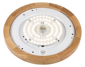 Brilagi - LED Stropní svítidlo BELLADONNA LED/36W/230V pr. 40 cm bílá/dub
