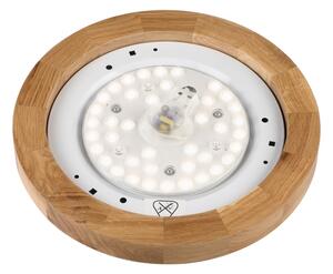Brilagi - LED Stropní svítidlo BELLADONNA LED/20W/230V pr. 30 cm bílá/dub