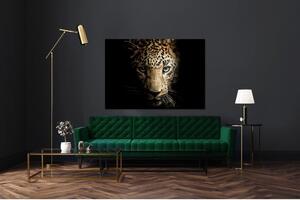 Skleněný obraz 100x70 cm Leopard - Styler