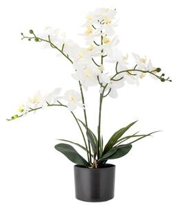 Umělá květina (výška 84 cm) Orchid – Bloomingville
