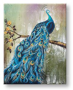 Malovaný obraz na zeď MODRÝ PÁV Sleva 30 % 70x90 cm (malované obrazy)