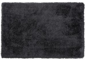 Koberec Shaggy 200 x 300 cm černý CIDE