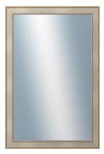 DANTIK - Zarámované zrcadlo - rozměr s rámem cca 80x120 cm z lišty TOOTH stříbrná (2779)