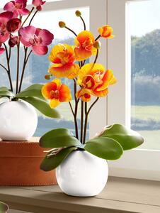 KLiNGEL Orchidej v květináči, oranžová