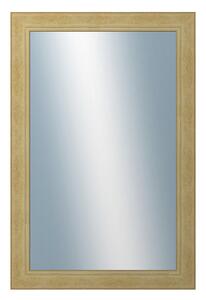 DANTIK - Zarámované zrcadlo - rozměr s rámem cca 40x60 cm z lišty ANDRÉ velká starostříbrná (3156)