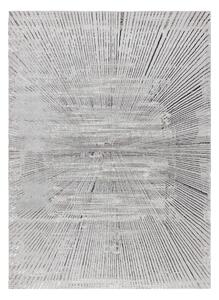 Dywany Łuszczów, Kusový koberec Bliss Z206AZ256 grey, 80x150, šedá, kancelář