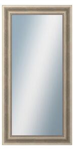 DANTIK - Zarámované zrcadlo - rozměr s rámem cca 60x120 cm z lišty KŘÍDLO velké stříbrné patina (2773)