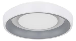 GLOBO Stropní LED přisazené osvětlení TABANO, 46W, teplá bílá-studená bílá, 50cm, kulaté 48272-46