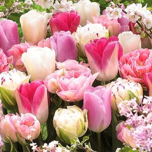 Ubrousky Růžové tulipány 3400061